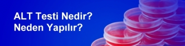 ALT Testi Nedir? Neden Yaplr?